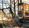 New Rayco Forestry Mulcher working in woods